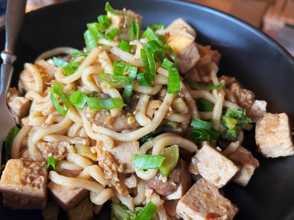 thick round noodles with tofu, broccoli, mushrooms, and green onions on top