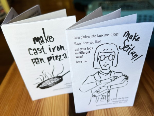 make cast iron pizza and make seitan mini-zines